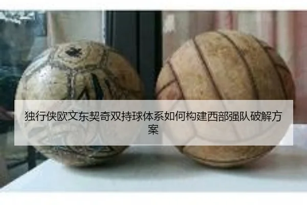 独行侠欧文东契奇双持球体系如何构建西部强队破解方案