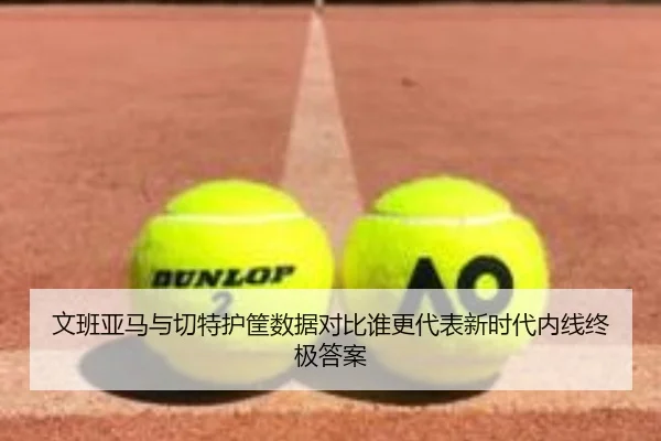 文班亚马与切特护筐数据对比谁更代表新时代内线终极答案